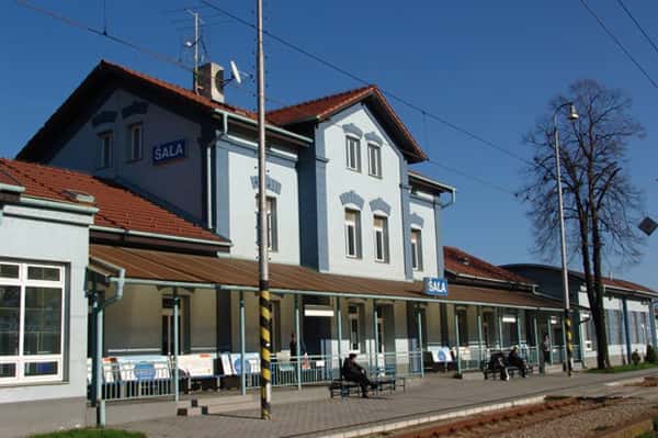 Наша Шаля – младшая