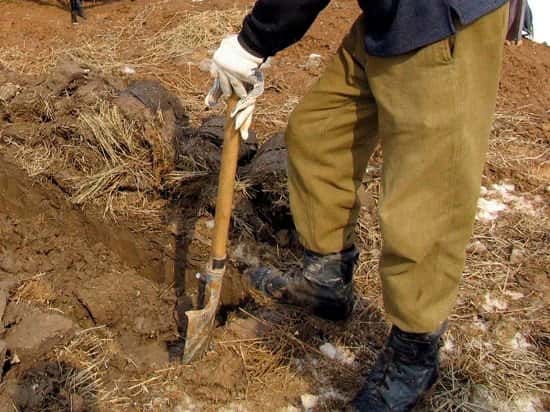 В Шале нашли «братскую могилу» с неизвестными трупами