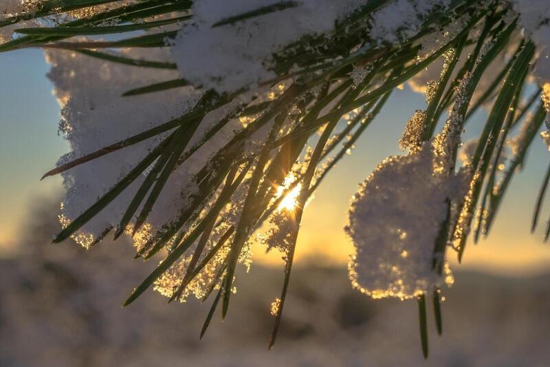 Снежный рекорд: на севере Свердловской области этой зимой осадков выпало почти вдвое больше нормы | Снега в Свердловской области этой зимой выпало на треть больше, чем в прошлом году Снежный рекорд: на севере Свердловской области этой зимой осадков выпало почти вдвое больше нормы | Снега в Свердловской области этой зимой выпало на треть больше, чем в прошлом году